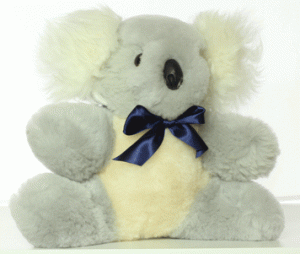 Teddy Bear Silver Fox Koala