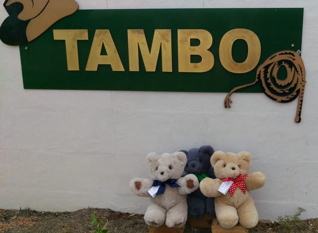 destination Tambo