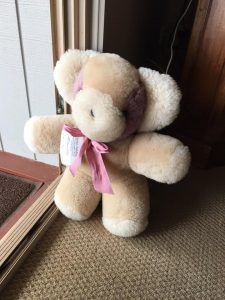 Teddy Bear Hunt