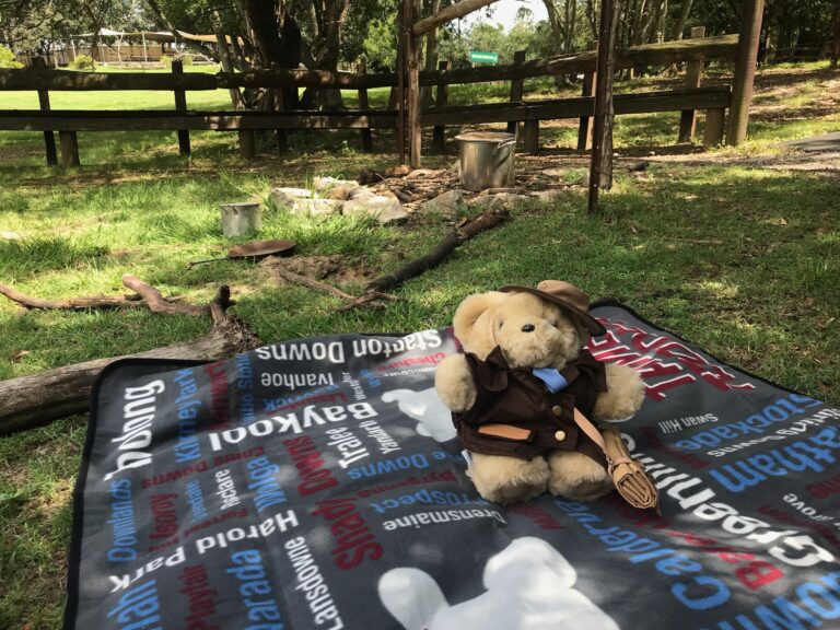 Tambo Teddy Picnic Blankets - Image 2