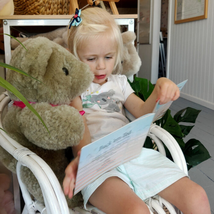 Teddy Adventures - Book Set