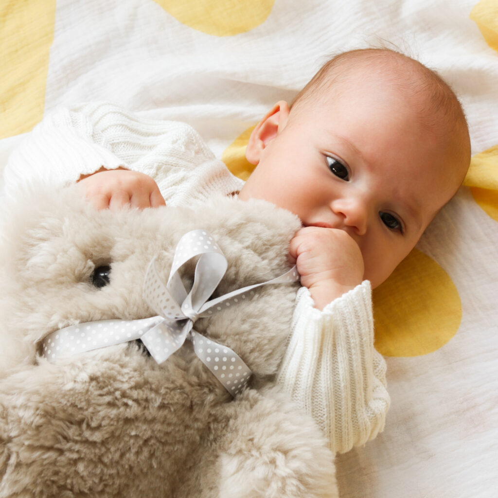 Tambo Teddy Bicke Bear the first flat teddy