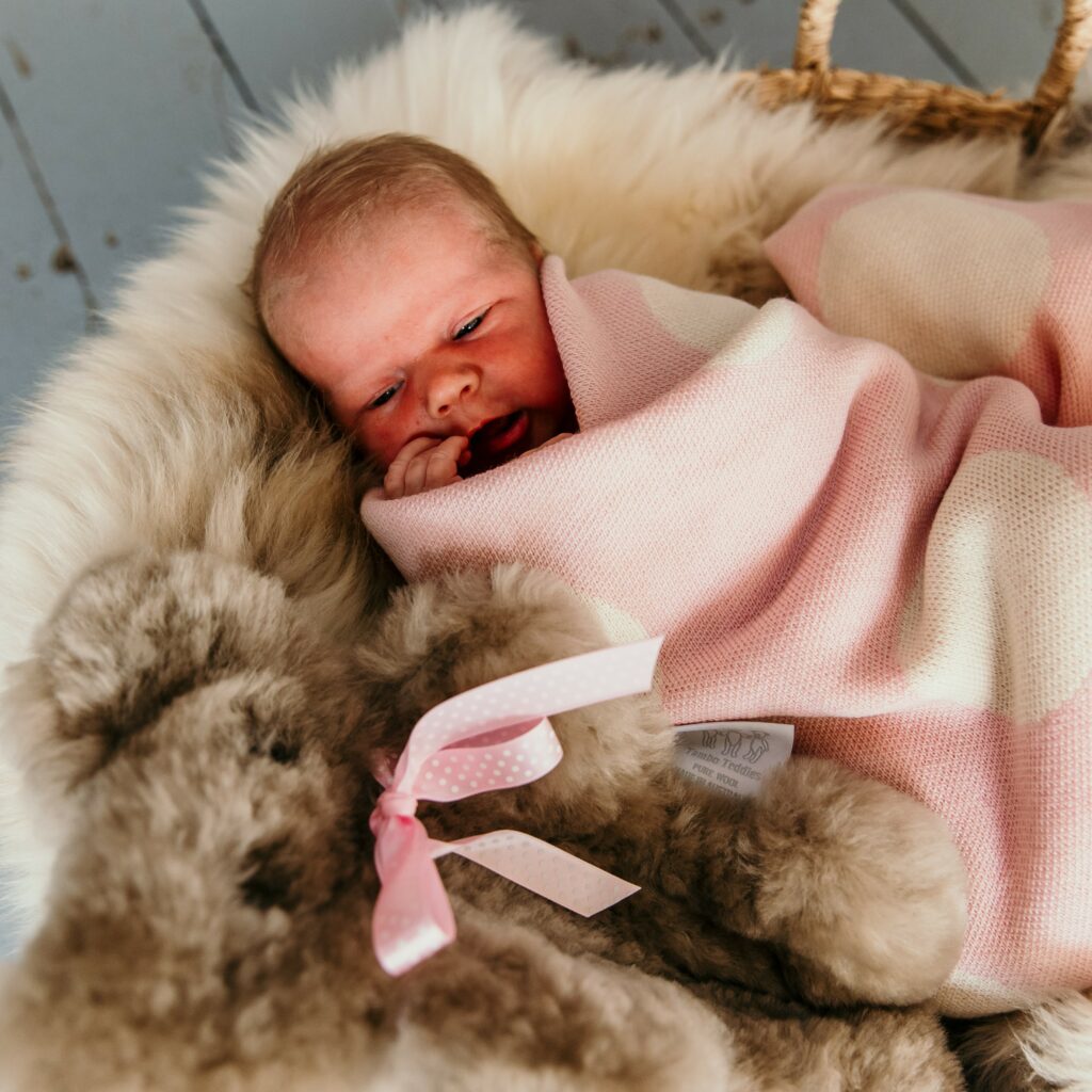 Tambo Teddie sustainable sheepskin