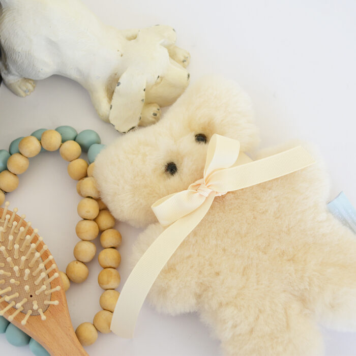 Baby Bickie Bears