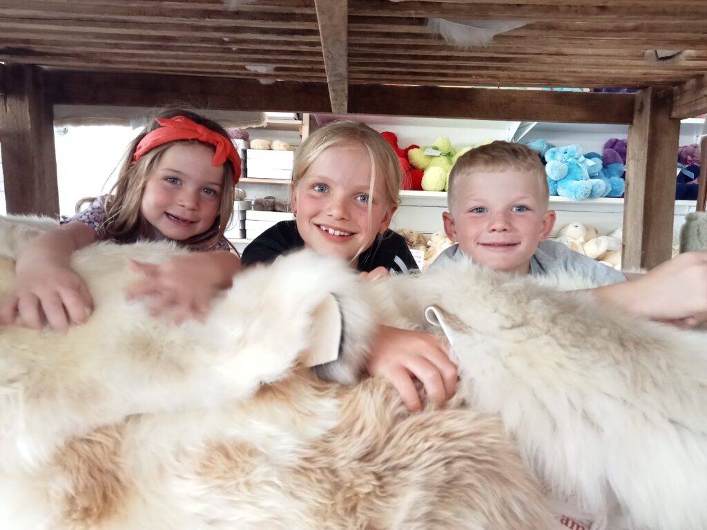 campaign for wool