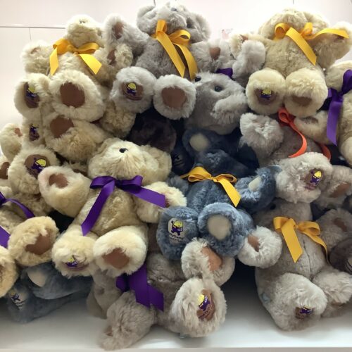 Humpty Dumpty Tambo Teddies