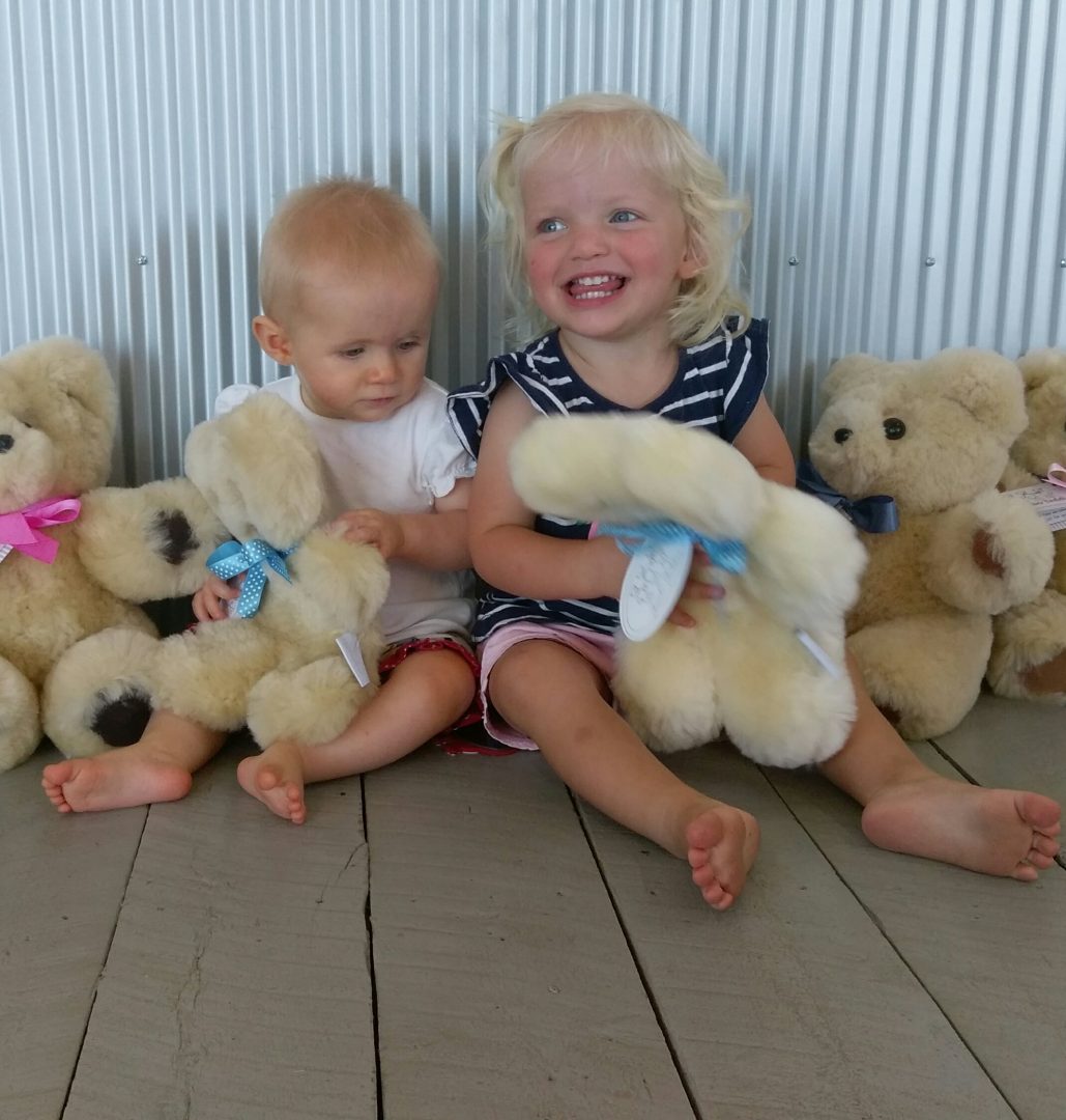 Tambo Teddies celebrating twenty-five years