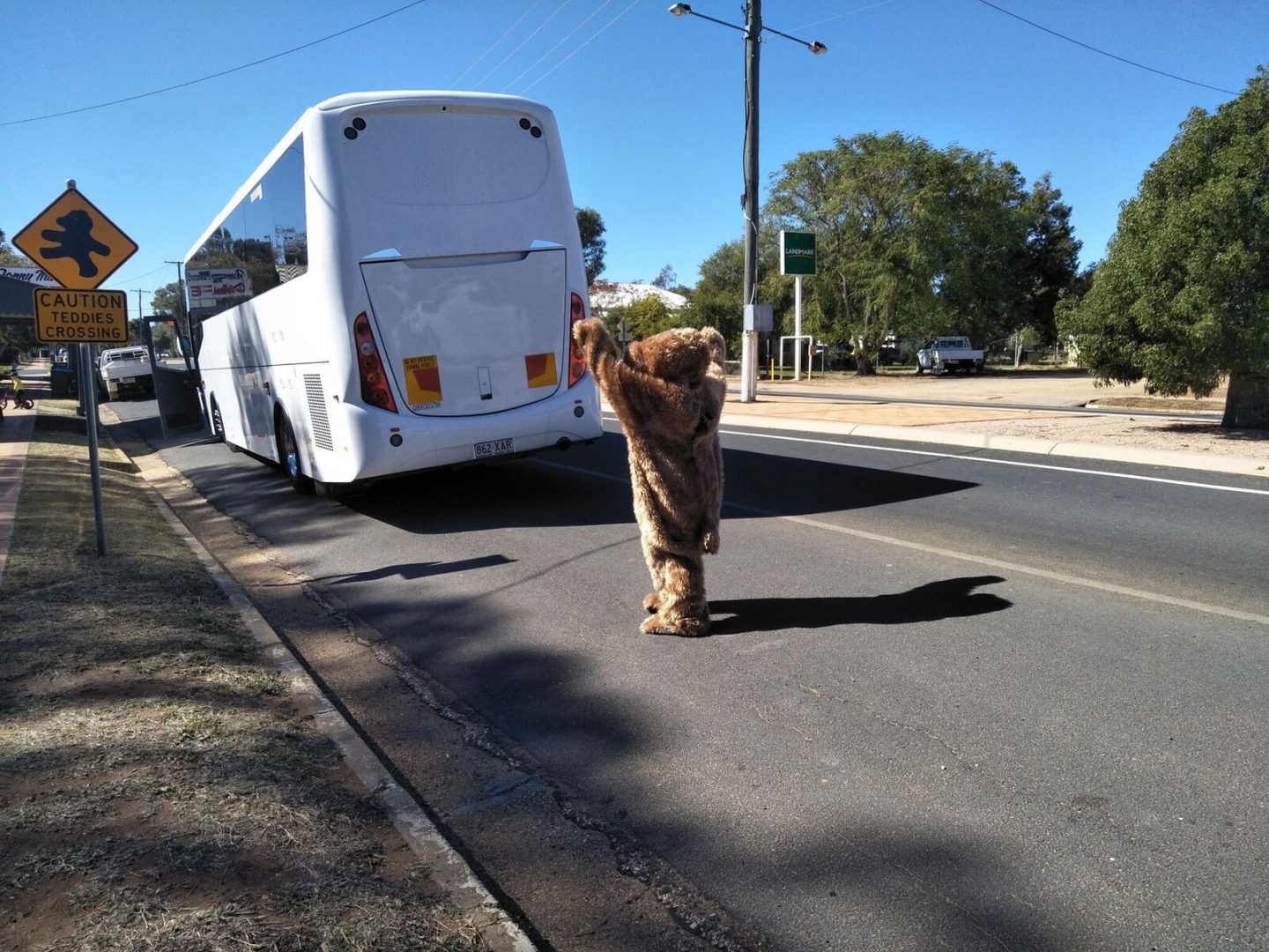 Tambo Ted Tours