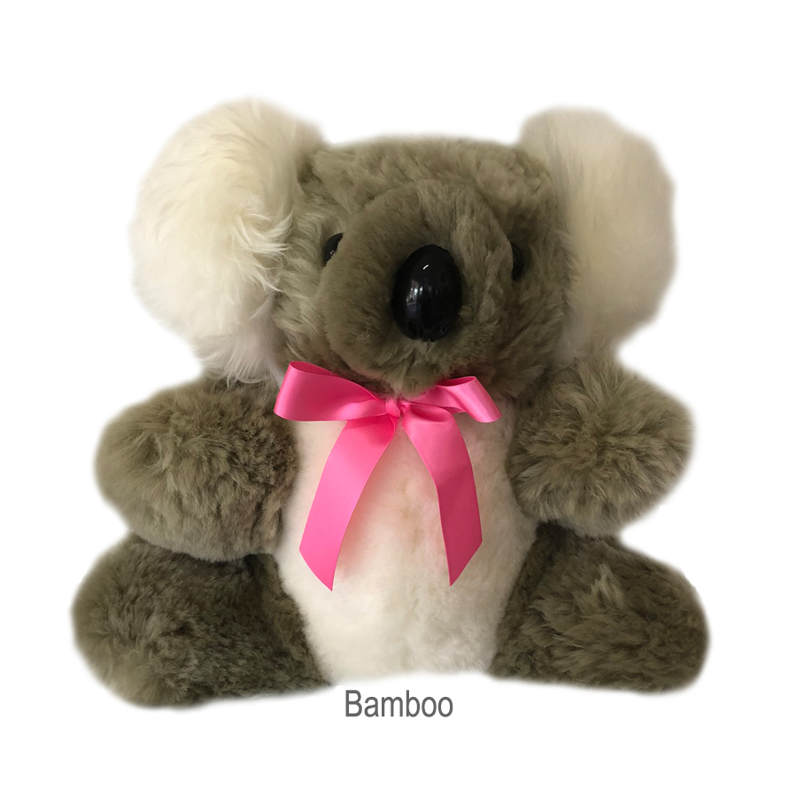 koala is the australian teddy bear