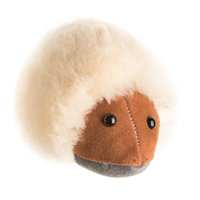 Echidna - Image 2
