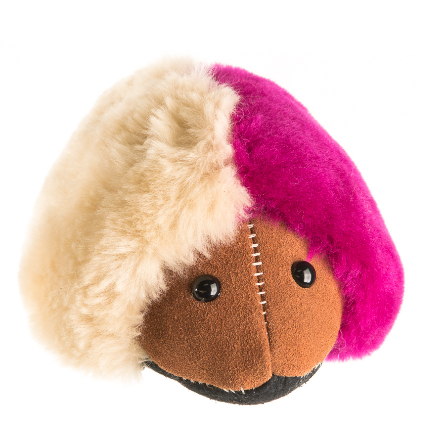 Teddy Adventures Book Set Tambo Teddies