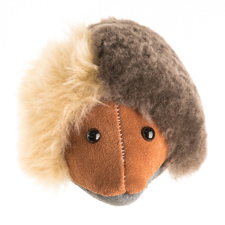 Echidna - Image 3