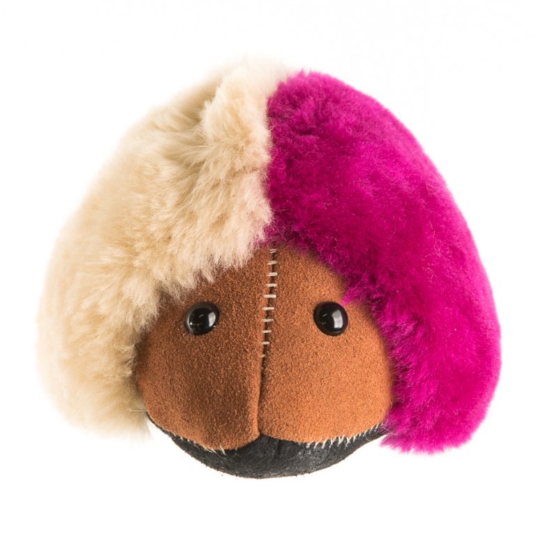 Echidna - Image 4