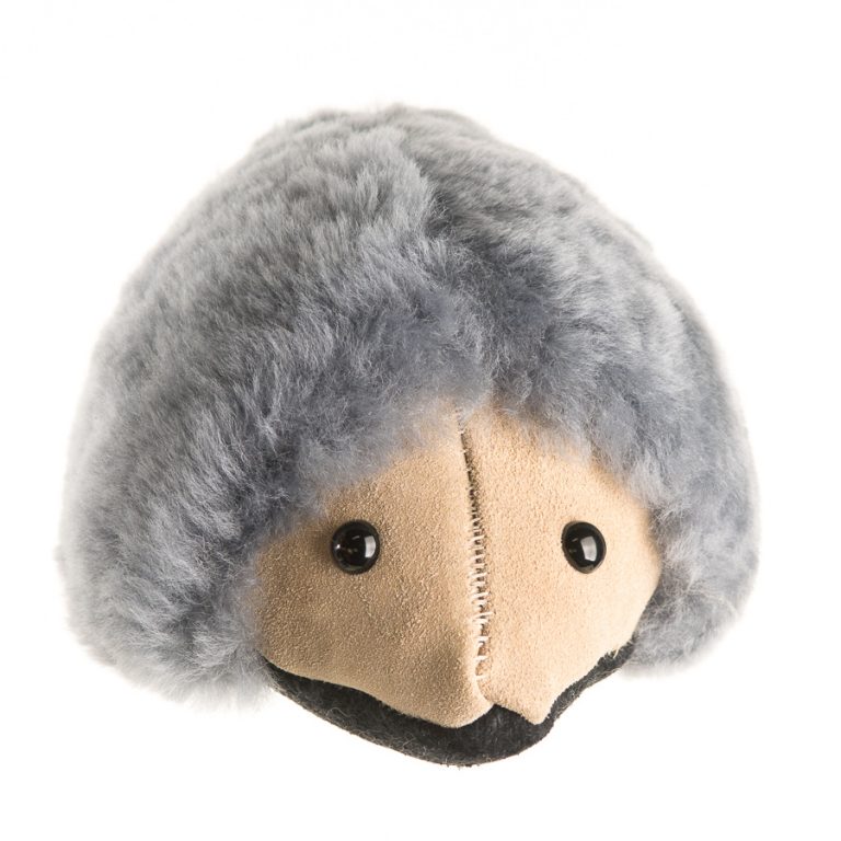 Echidna - Image 5