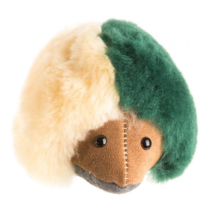 Echidna - Image 6