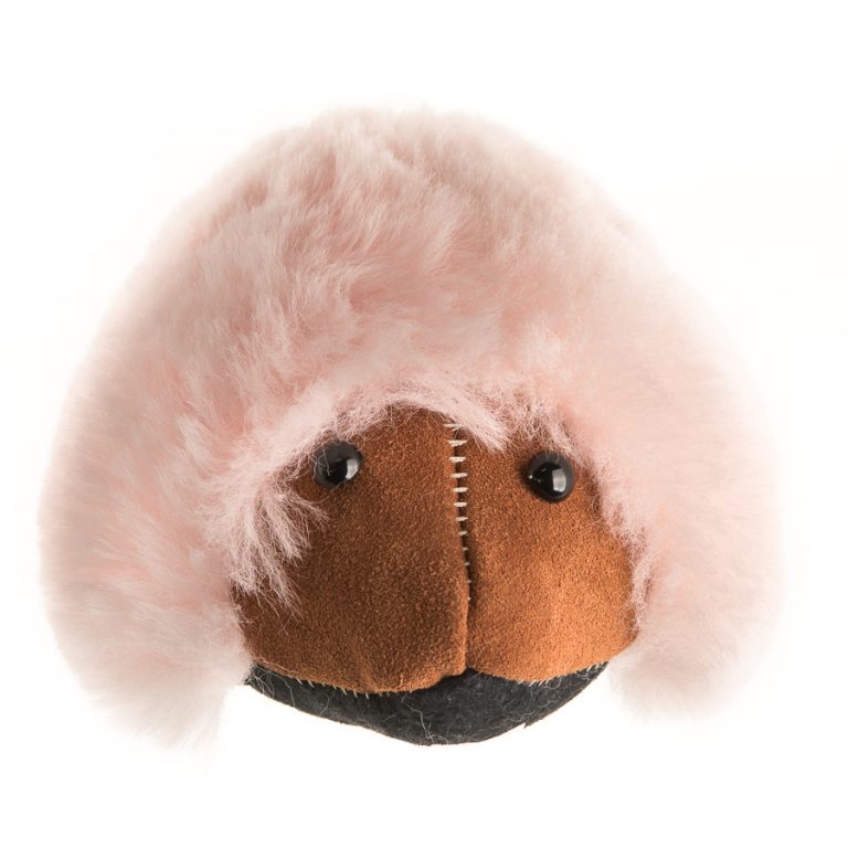 Echidna - Image 8