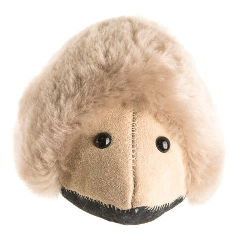 Echidna - Image 9