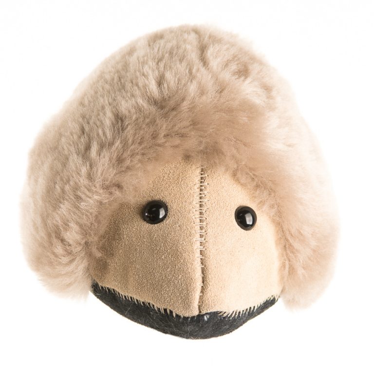 Echidna - Image 9