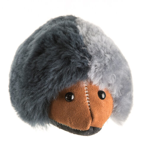 Echidna - Image 10