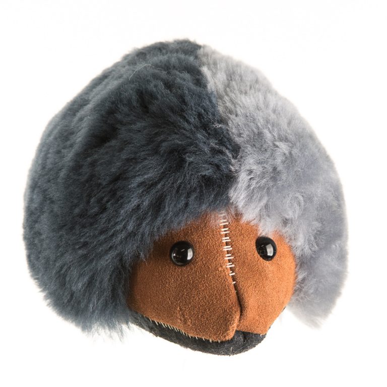 Echidna - Image 10