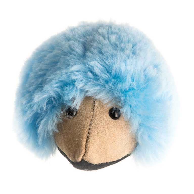 Echidna - Image 11