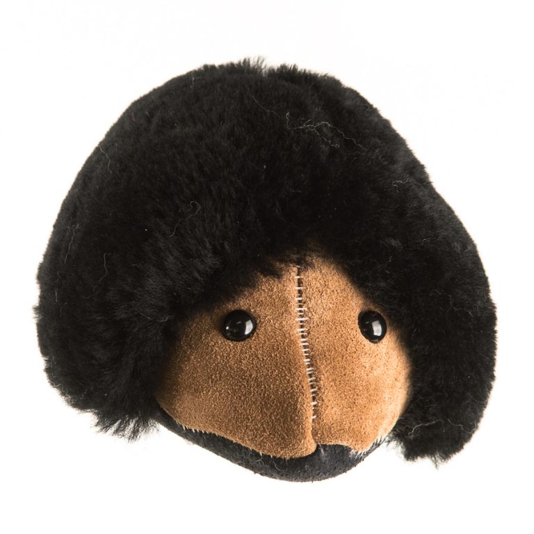 Echidna - Image 12