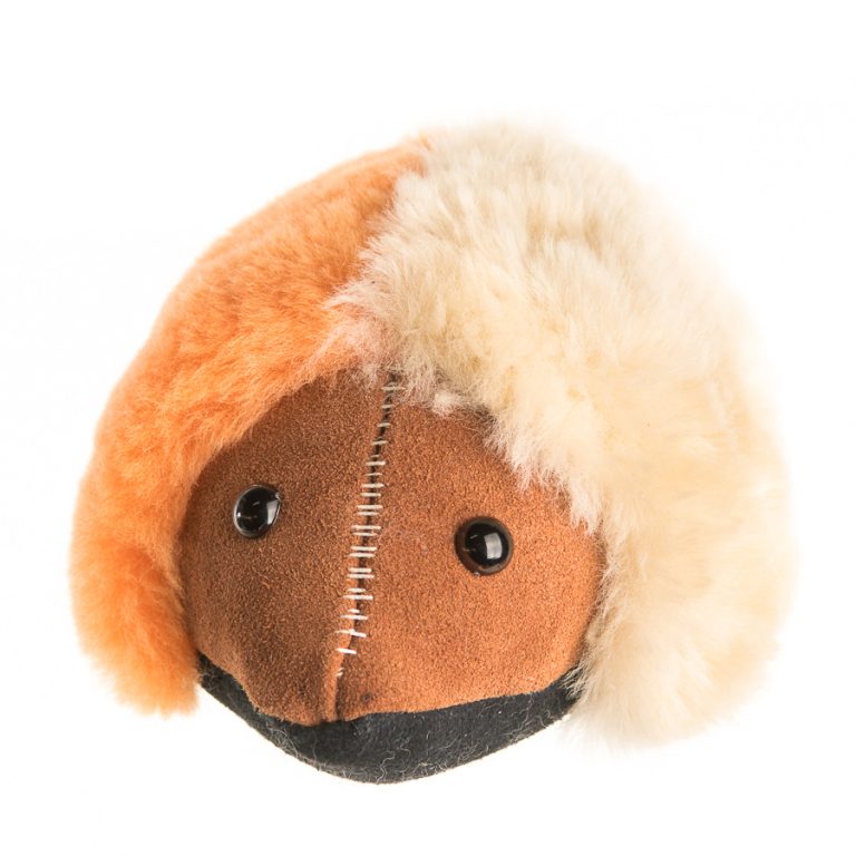 Echidna - Image 13