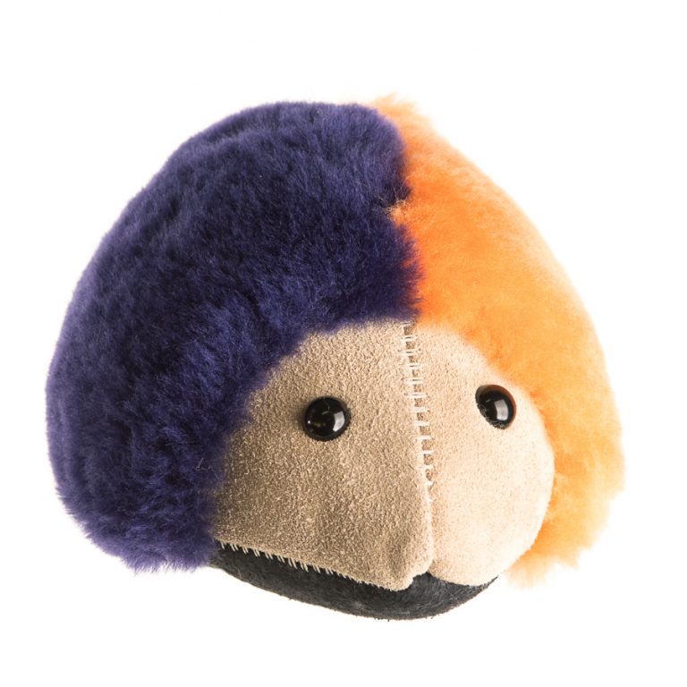 Echidna - Image 15