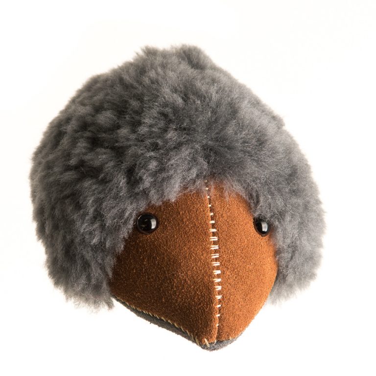 Echidna - Image 14