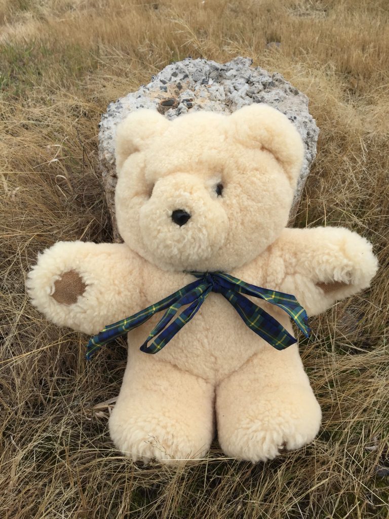 lost tambo teddy bear