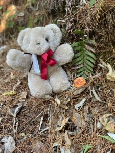 Bushwalking Teddy Bear