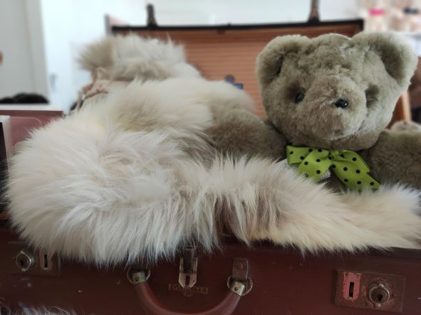 Tambo Teddy sheepskins