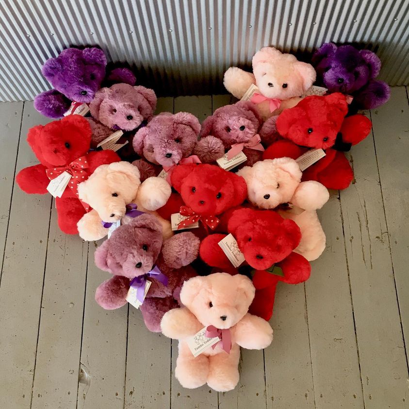 Valentines Day at Tambo Teddies