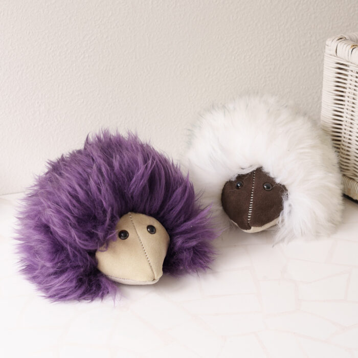 Echidna Fluffy