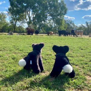 Digger the Dog Tambo teddies