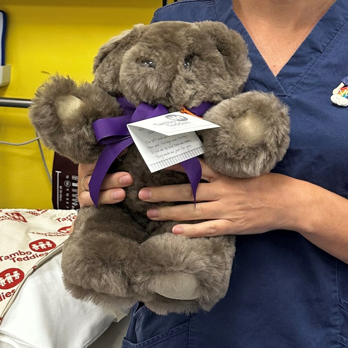 Humpty Dumpty Bear Tambo Teddies humpty-dumpty-bear-tambo-teddies
