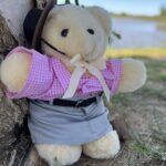 Tambo Teddy Online Auction for flood communities