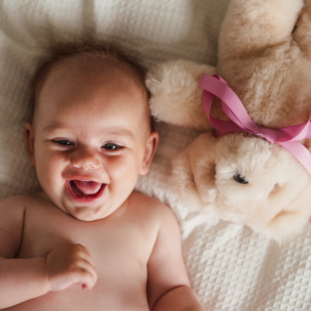 Tambo Teddies the perfect premium gift