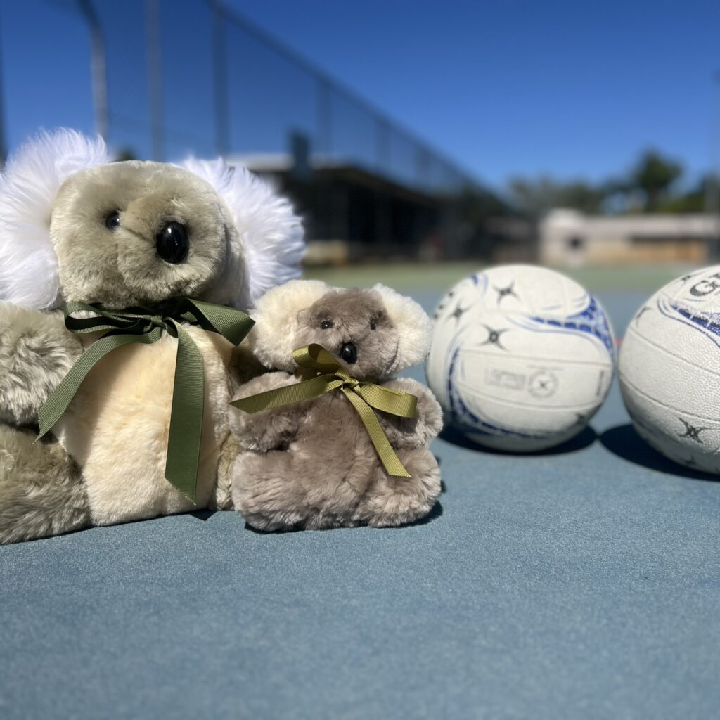 Bunji Tambo Teddies Olympic Koala