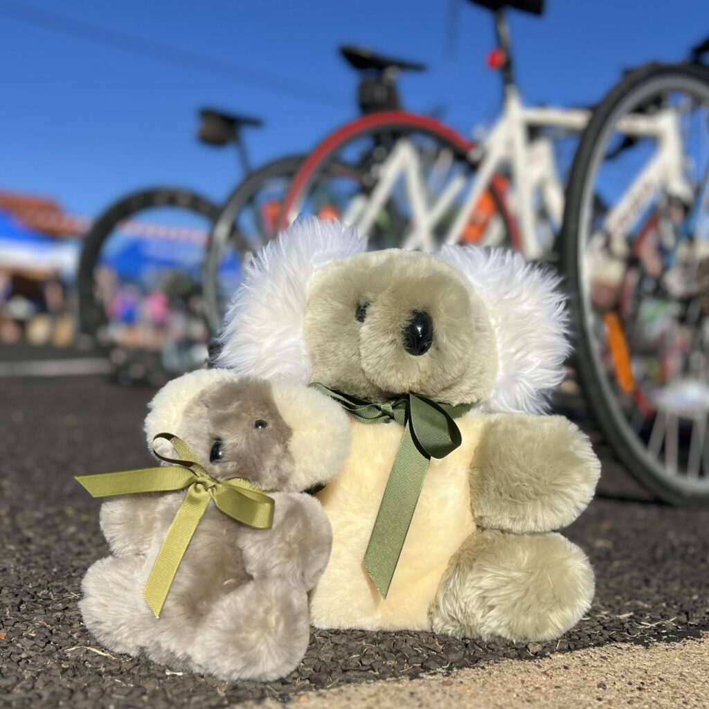 Bunji Tambo Teddies Olympic Koala Brisbane 2032