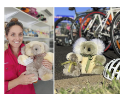Tambo Teddies in the Chronicle