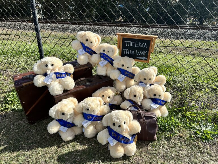 Ekka bears